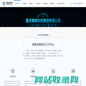 重庆臻联科技集团有限公司