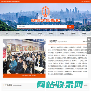 重庆市非公有制经济促进会-重庆非公经济,经济促进会