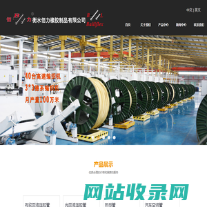 衡水佰力橡胶制品有限公司
