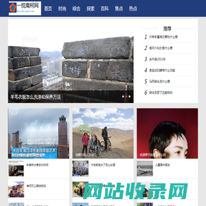 一枕南柯网