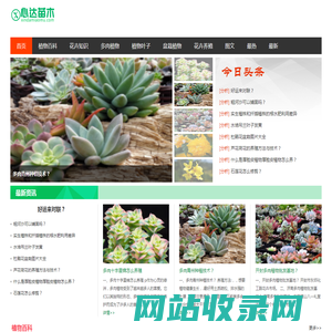 心达苗木