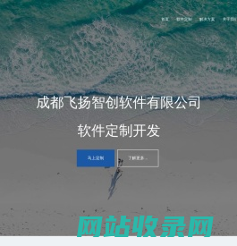 成都飞扬智创软件有限公司:专业软件定制