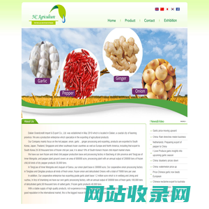 Dalian Grandcredit Import & Export Co., Ltd. China Snowwhite Pumpkin seeds, Shineskin pumpkin seed kernel, cleaned pumpkin seed, Sunflower seed kernels confectionary bakery, Fresh Fuji apples, Fresh Onions, Fresh potatos, Purple sweet potato powder, Pumpkin powder, IQF Vegetables and Fruits.  大连宏信德进出口有限责任公司