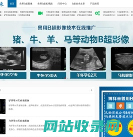 兽用B超图像_兽用B超机视频_动物B超机方法-博祥来兽用B超仪交流网