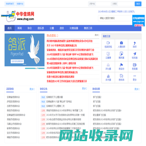中华信鸽网