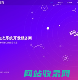 星凯网络_小程序系统开发_APP平台制作公司_高端品牌网站建设_平台系统定制开发