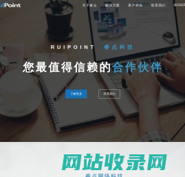 睿点科技 ruipoint.com