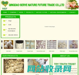 QINGDAO SERVE NATURE FUTURE TRADE CO.,LTD|Ginger|Garlic|