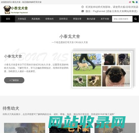 小泰戈巴哥犬舍-CKU FCI永久犬舍-一个有爱心和责任心的巴哥犬舍