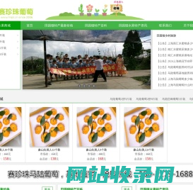 马陆葡萄网-马陆葡萄采摘攻略|新品种|礼盒装|价格多少钱一斤