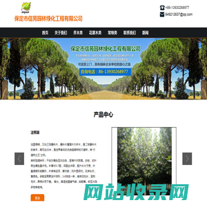 首页-河北法桐_法桐苗_苗圃_保定市信苑园林绿化工程有限公司