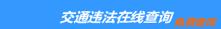 （手机版）安康交通违章查询-安康违章查询网
