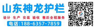 山东防撞护栏厂家-桥梁护栏-防撞护栏-灯光护栏图片-防撞栏杆厂家 - 山东神龙金属制造有限公司