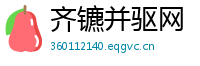 齐镳并驱网