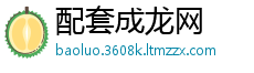 配套成龙网