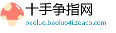 十手争指网