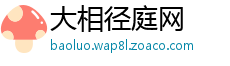 大相径庭网
