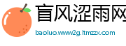 盲风涩雨网