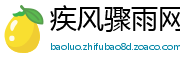 疾风骤雨网