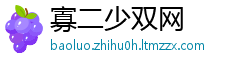 寡二少双网