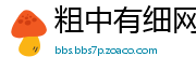 粗中有细网
