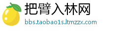 把臂入林网