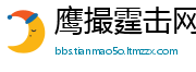 鹰撮霆击网