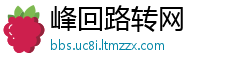 峰回路转网