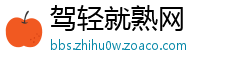 驾轻就熟网