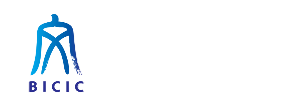 首都文化创新与文化传播工程研究院
