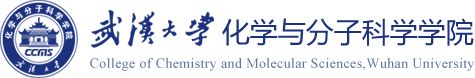 武汉大学化学与分子科学学院