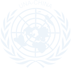 第二十届中国模拟联合国大会