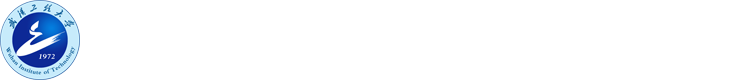 武汉工程大学绿色化工程教育部重点实验室