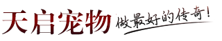 天启神宠