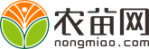 蝴蝶花图片_蝴蝶花价格_中国蝴蝶花网-农苗网