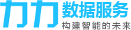 上海力力数据服务有限公司