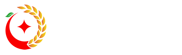 动态 - 华网在线