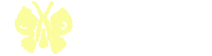 奥奇吧手机站 - 身边的知识小帮手，专注做最新的学习参考资料！