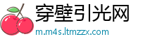 穿壁引光网