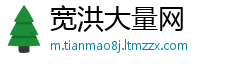 宽洪大量网