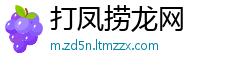 打凤捞龙网
