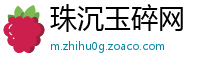 珠沉玉碎网