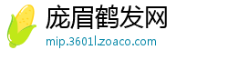 庞眉鹤发网
