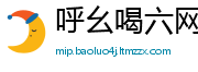 呼幺喝六网