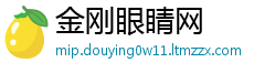 金刚眼睛网