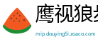 鹰视狼步网
