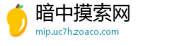 暗中摸索网