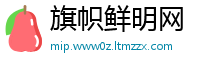 旗帜鲜明网