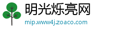 明光烁亮网