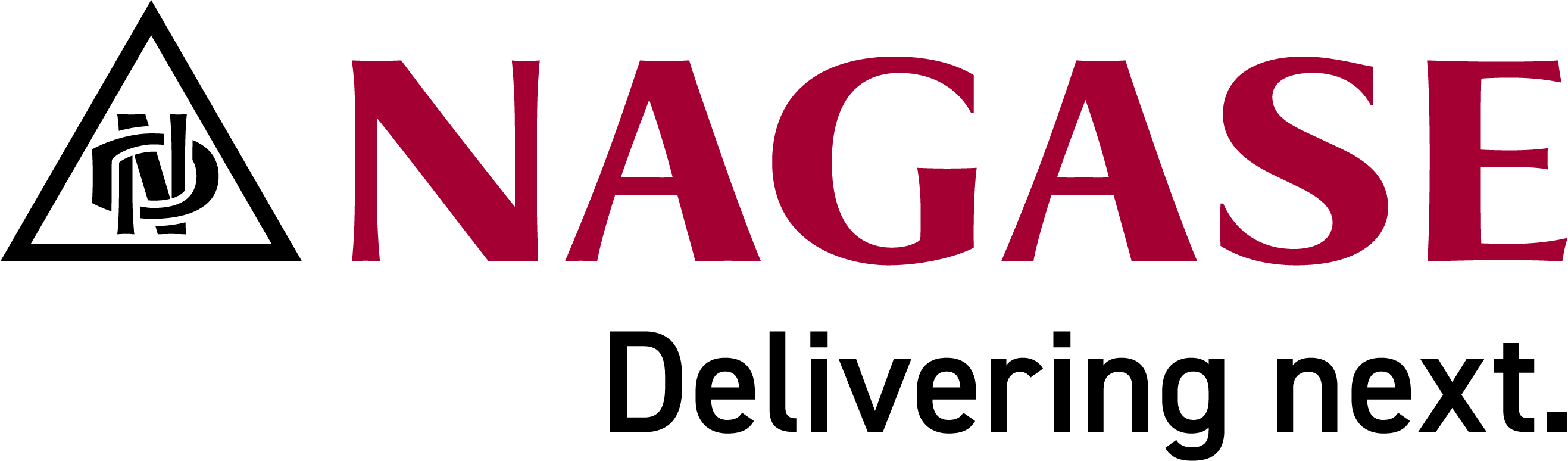 NAGASE-长濑（中国）有限公司, 长濑化学，长濑集团，日本长濑